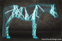 Horse Color:Thunderstruck Smoky Black
