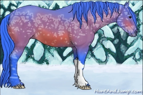 Horse Color:Watercolor Bay Ice 