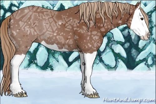 Horse Color:Chestnut Ice Splash 