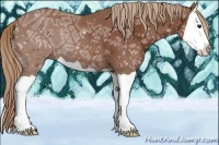 Horse Color:Chestnut Ice Splash 