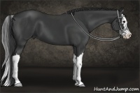 Horse Color:Black Splash 