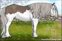 Horse Color:Silver Black Splash