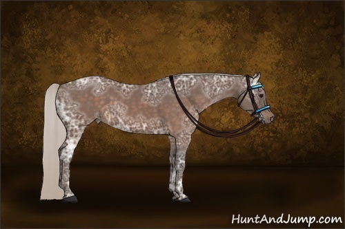 Horse Color:Silver Brown Ice Sabino 