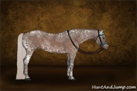 Horse Color:Silver Brown Ice Sabino 