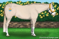 Horse Color:Perlino Splash