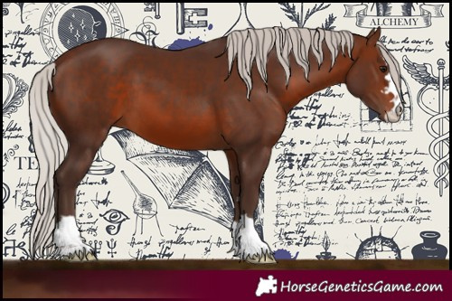 Horse Color:Silver Brown
