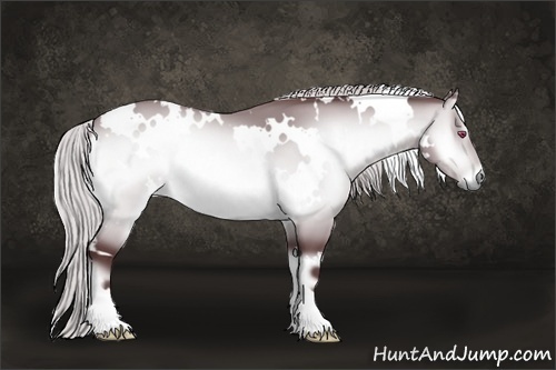 Horse Color:White Spotted Chocolate Silver Brown Chinchilla Onyx 