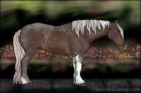 Horse Color:Silver Brown Tobiano 