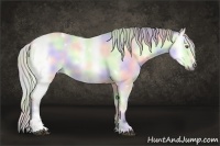 Horse Color:Nacre White Spotted Silver Brown Chinchilla Onyx Sabino Rabicano