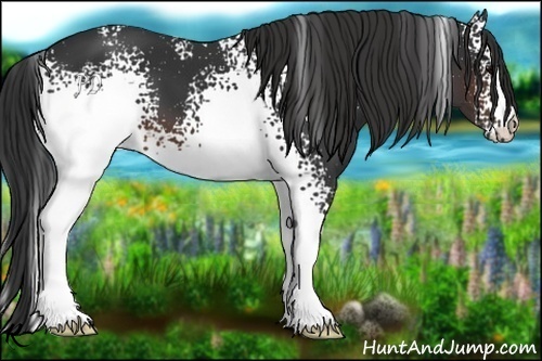 Horse Color:White Spotted Brown 