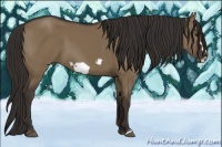 Horse Color:Liver Red Dun Frame 
