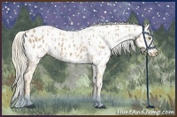 Horse Color:Palomino Appaloosa  and Palomino Appaloosa 