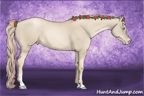 Horse Color:Palomino Pearl Sabino 