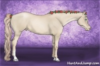 Horse Color:Palomino Pearl Sabino 