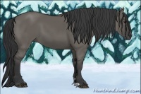 Horse Color:Grullo 