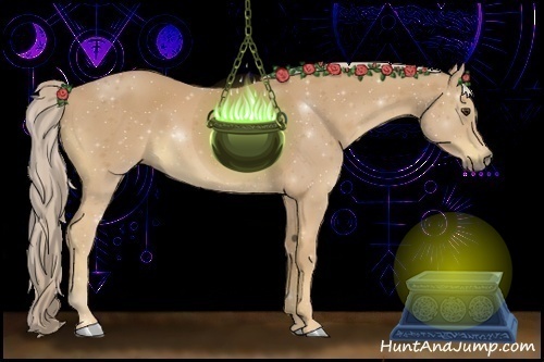 Horse Color:Palomino