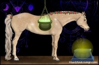 Horse Color:Palomino