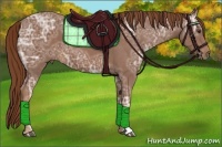 Horse Color:Chestnut Ice 