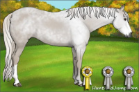 Horse Color:Gray Chestnut 