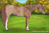 Horse Color:Nacre Chestnut 