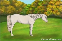 Horse Color:Smoky Creme 
