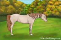 Horse Color:Smoky Black Pearl 