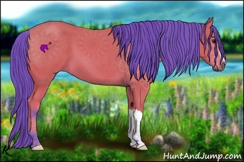 Horse Color:Watercolor Bay 