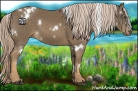 Horse Color:White Spotted Chocolate Palomino