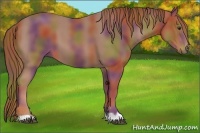 Horse Color:Nacre Chestnut 