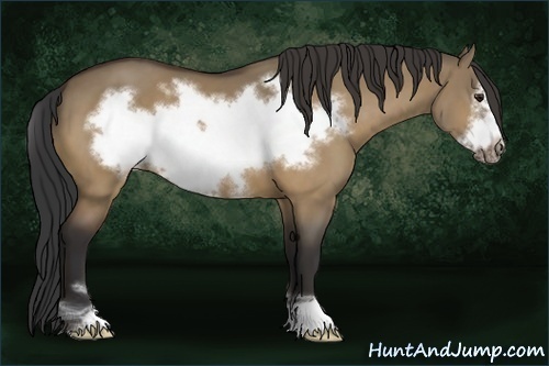 Horse Color:Buckskin Dun Sabino Frame