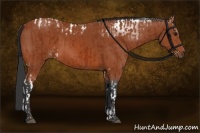 Horse Color:Brown Tobiano  and Brown Sabino 