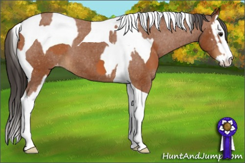 Horse Color:Bay Splash Tobiano Varnish and Gray Bay Splash Tobiano Varnish