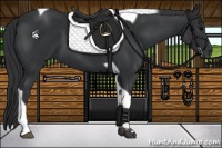 Horse Color:Black Tobiano 