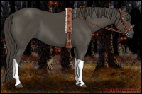 Horse Color:Smoky Black Tobiano 