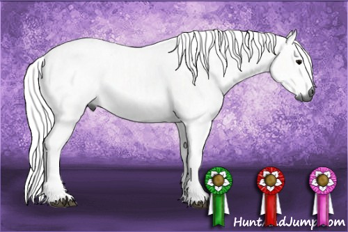 Horse Color:Gray Chocolate Silver Black