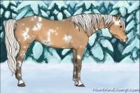Horse Color:White Spotted Silver Buckskin