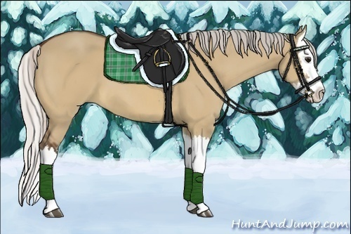 Horse Color:Silver Bay Dun Splash 