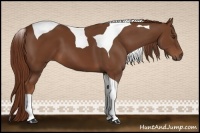 Horse Color:Chestnut Tobiano