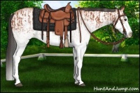 Horse Color:White Spotted Bay Splash  and White Spotted Bay Splash 