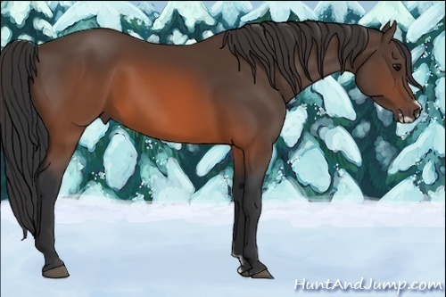 Horse Color:Brown Frame 