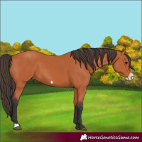 Horse Color:Brown Frame