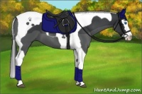 Horse Color:Black Splash Tobiano