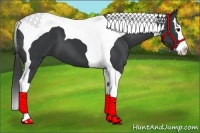 Horse Color:Black Splash Tobiano