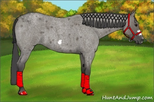 Horse Color:Smoky Grullo Roan Frame 