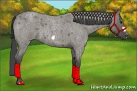 Horse Color:Smoky Grullo Roan Frame 