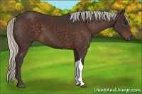 Horse Color:Silver Brown 