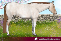 Horse Color:Liver Red Dun Roan Pearl Tobiano Frame 