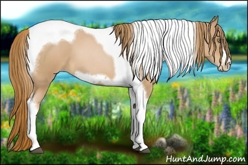 Horse Color:Red Roan Pearl Tobiano Frame