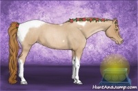 Horse Color:Red Roan Pearl Tobiano Frame