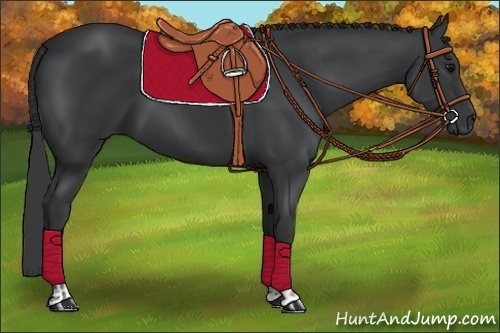 Horse Color:Black  and Black 